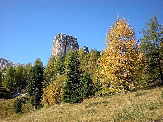 Bruco dolomitico